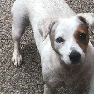 Meet your Posher, Skylar